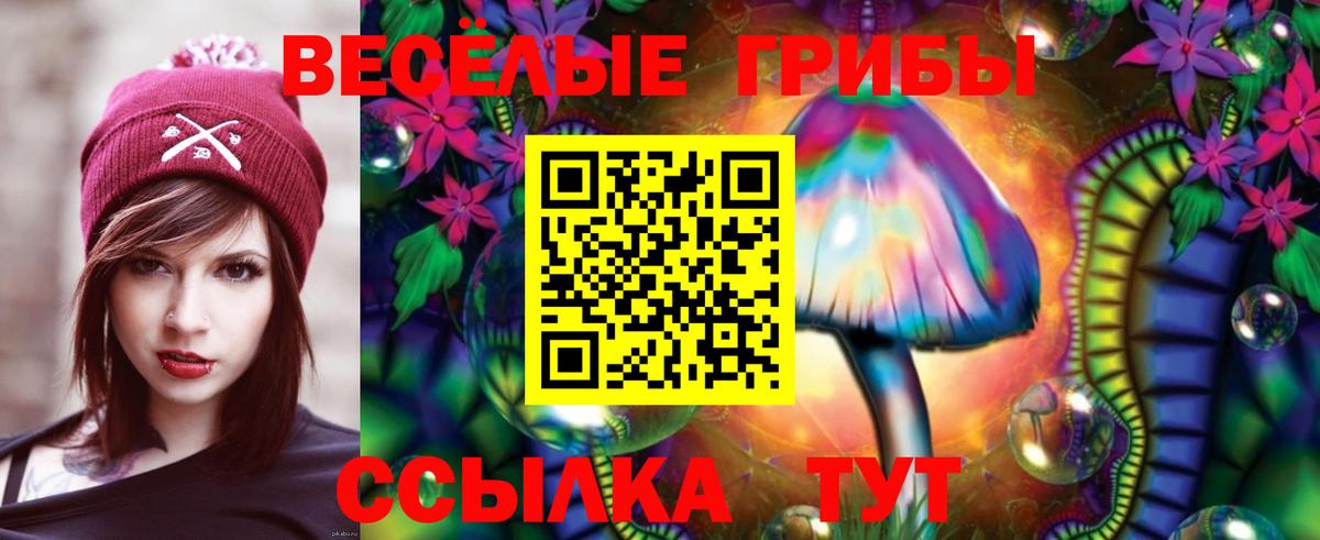 Кинель  Псилоцибиновые грибы прущие грибы  Вход с VPN  Галлюциногенные грибы ЛСД 