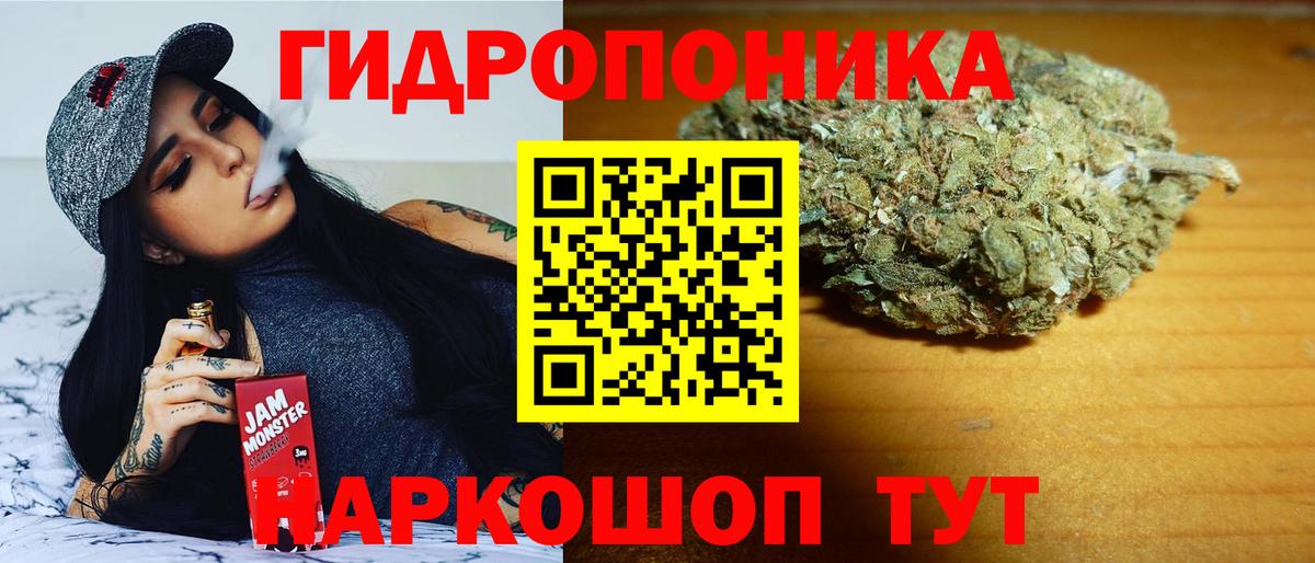 Шишки марихуана план  Вход с VPN  Бошки марихуана White Widow  Кинель 